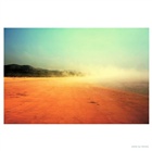 dailyPhoto5